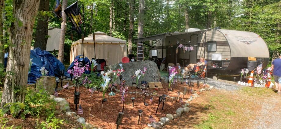 Gorgeous flowers around campsite in Adirondacks