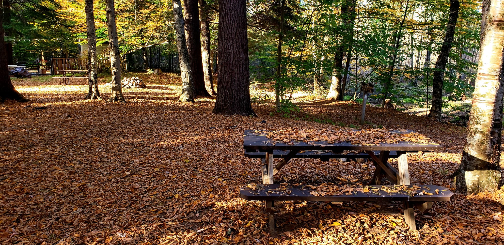 Warrensburg Travel Park & Riverfront Campground